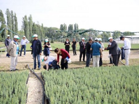 30 milyon fidan toprakla buluşuyor