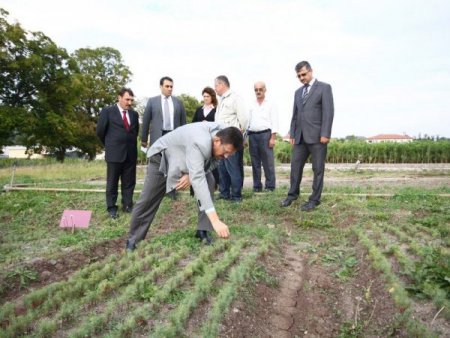 30 milyon fidan toprakla buluşuyor