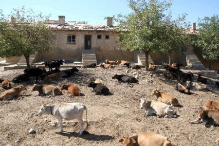 30 Yıllık Sağlık Ocağı Bakımsızlıktan Ahıra Dönüştü