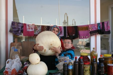 35 kiloluk kabak görenleri şaşırtıyor
