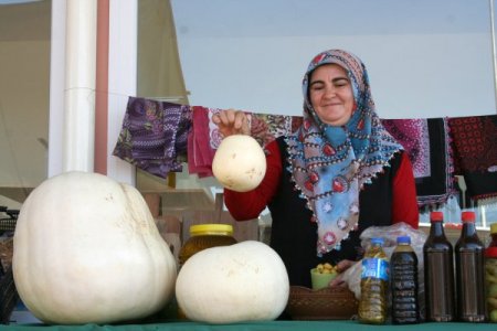 35 kiloluk kabak görenleri şaşırtıyor