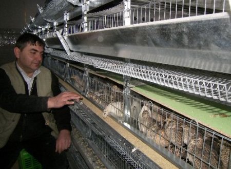 4 Ay Önce Kurulan Bıldırcın Çiftliğinden Günde 3 Bin 500 Yumurta Alıyorlar