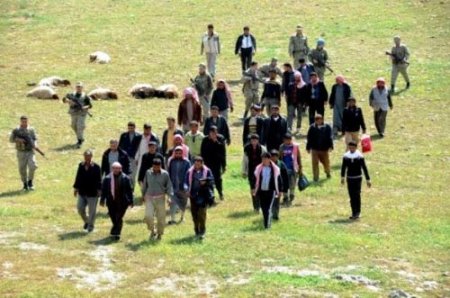 4 bin küçükbaş kaçak hayvan ele geçirildi, 84 kişi gözaltında