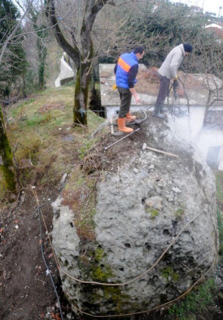 400 Tonluk Kayayı Halatlarla Ağaca Bağladılar