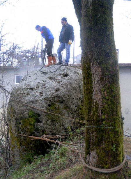 400 Tonluk Kayayı Halatlarla Ağaca Bağladılar