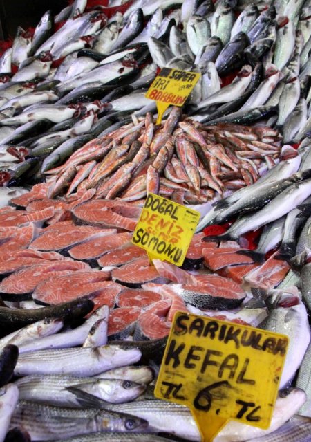 5 balık türünde ağır metaller çıktı, tüketici sağlığı tehlikede olabilir