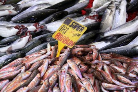 5 balık türünde ağır metaller çıktı, tüketici sağlığı tehlikede olabilir