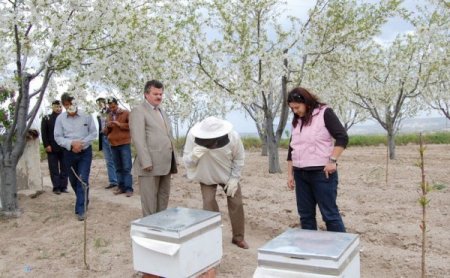 5 Çiftçiye 70 Adet Arılı Kovan Verildi