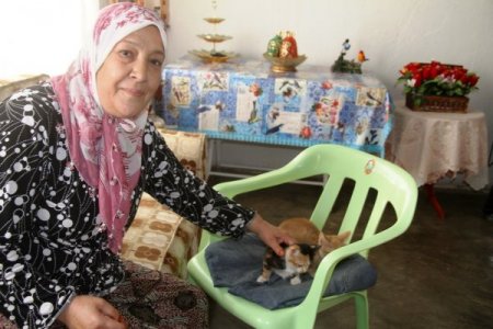 55 yaşındaki Perihan Bay, 12 kedi ile aynı evde yaşıyor