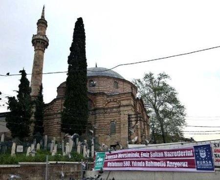 6 Asır Önce Başlayan Erguvan Geleneği Sürüyor