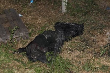 6 ay önce kaybolan babasının cesedini çalıştığı yerde buldu