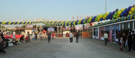 7 üniversite festivalde buluştu