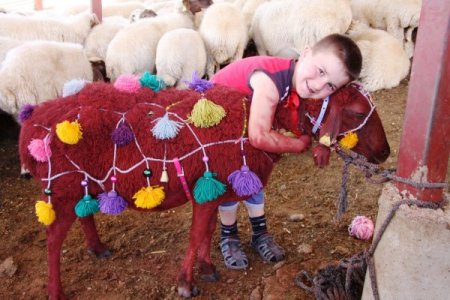 750 yıllık koyun yıkama ve boyama geleneği devam ediyor