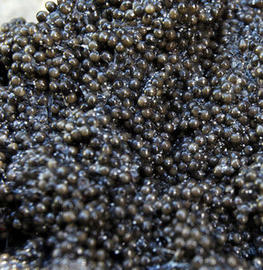 789838_detay.jpg 789838_detay.jpg