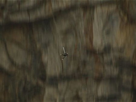 80 Metreden Nefes Kesen Atlayış