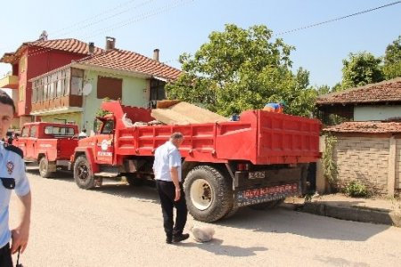 86 yaşındaki kadının evinden iki kamyon dolusu çöp çıktı