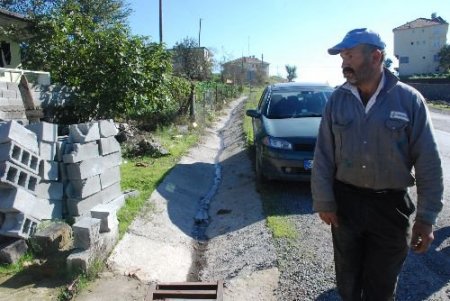 9 Büyükbaş Hayvanda Şap Hastalığı Belirlendi