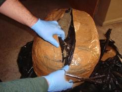 a1.20130218121939.jpg a1.20130218121939.jpg