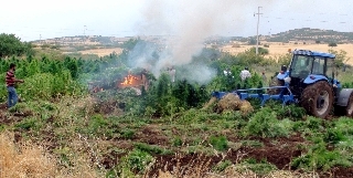 a2.20120801150656.jpg a2.20120801150656.jpg