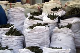 a4.20120801150716.jpg a4.20120801150716.jpg