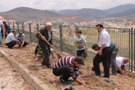 Aba Koleji bahçesinde herfene ve ağaç dikme programı