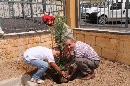Aba Koleji bahçesinde herfene ve ağaç dikme programı