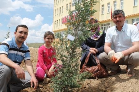 Aba Koleji bahçesinde herfene ve ağaç dikme programı