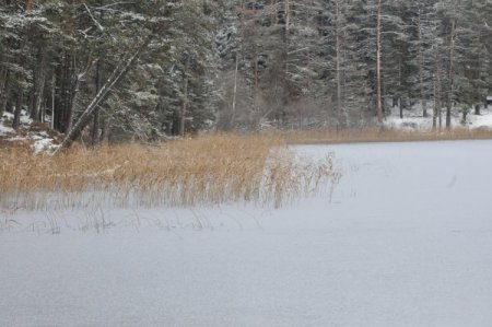 Abant Gölü buz tuttu