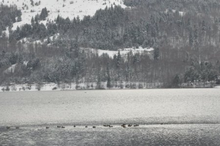 Abant Gölü buz tuttu