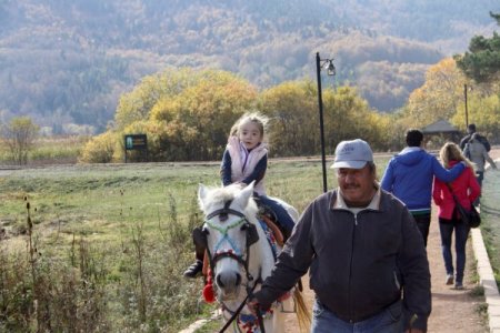 Abant Tabiat Parkı her mevsim ilgi odağı
