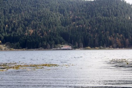 Abant Tabiat Parkı her mevsim ilgi odağı