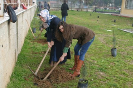 Ablalar miniklerin okulunu ağaçlandırdı