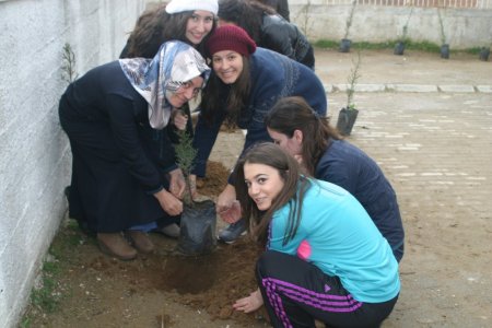 Ablalar miniklerin okulunu ağaçlandırdı