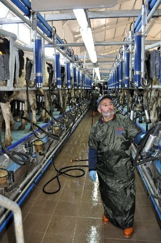 AB'ye süt ürünleri ihracatı kararı Balıkesirli üreticileri memnun etti