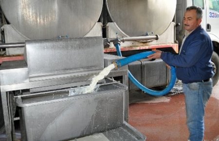 AB'ye süt ürünleri ihracatı kararı Balıkesirli üreticileri memnun etti