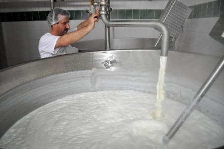 AB'ye süt ürünleri ihracatı kararı Balıkesirli üreticileri memnun etti