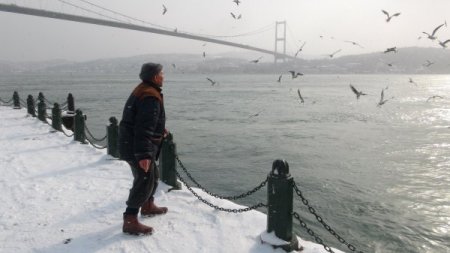 Aç Kalan Martıların İmdadına 'Yaşlı' Eller Yetişti