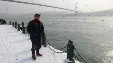 Aç Kalan Martıların İmdadına 'Yaşlı' Eller Yetişti