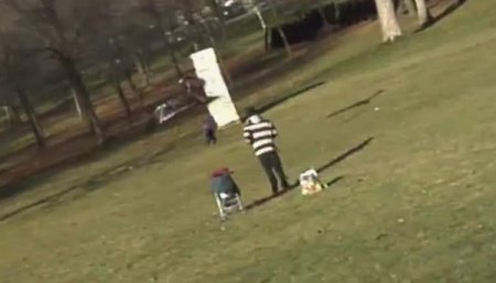 Açgözlü kartal parktaki çocuğu kaçırmaya kalktı!