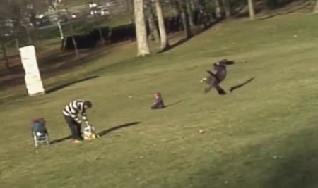 Açgözlü kartal parktaki çocuğu kaçırmaya kalktı!
