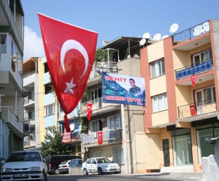 Acılı şehit annesi: Bi tanemi bulun getirin