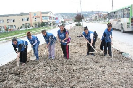 Acılım sonuç verdi bin 500 Roman’ın sigortalı işle hayatı değişti