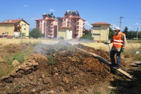 Acıpayam'da haşre ile mücadele çalışmaları devam ediyor