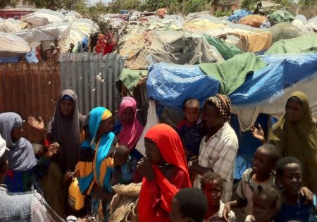 Açlığın Pençesindeki Somali'ye Kurbanda 'Cansuyu' Geldi