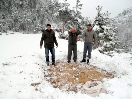 Açlıktan Yollarda Telef Olan Kuşlar İçin Yem Bırakıldı