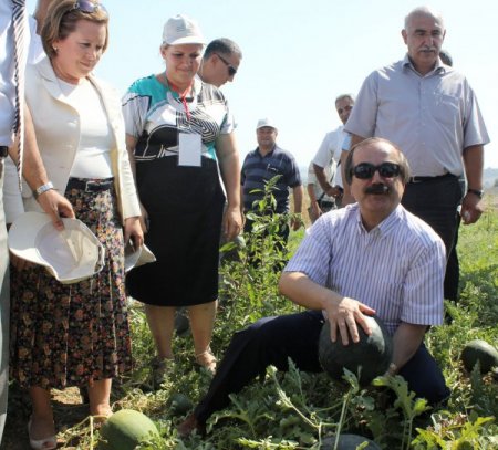 Adana karpuzuna ‘şenlikli’ tanıtım