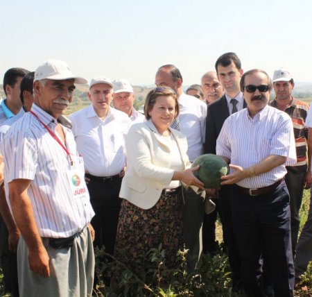 Adana karpuzuna ‘şenlikli’ tanıtım
