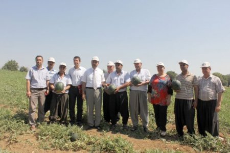 Adana karpuzunu ekenlere teşvik dönemi başladı