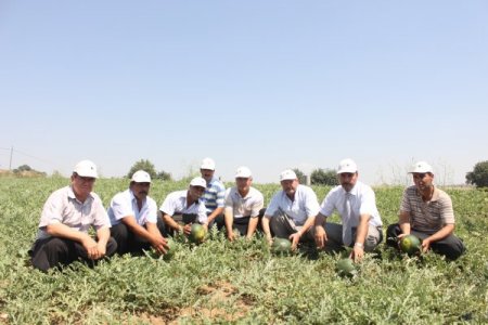Adana karpuzunu ekenlere teşvik dönemi başladı