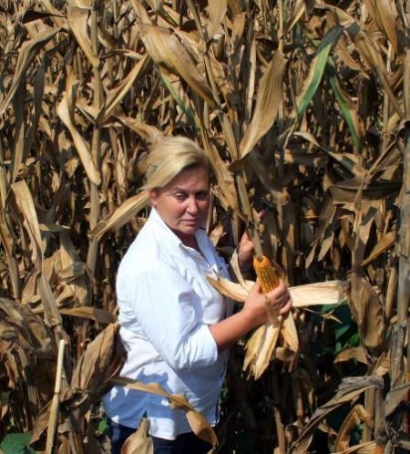 Adana Tahıl Üreticileri Birliği Başkanı Özkan: Elinizdeki Mısırı Tekelci Gruplara Ucuza Satmayın